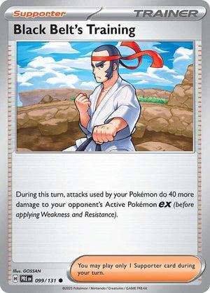 Black Belt's Training [Prismatic Evolutions]