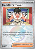 Reverse Holo (Poké Ball Pattern)