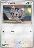 Minccino [Journey Together]