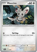 Minccino [Black Bolt]