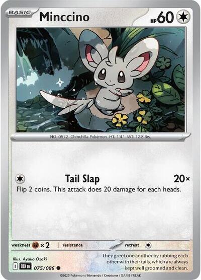 Minccino [Black Bolt]