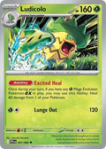 Ludicolo [Phantasmal Flames]