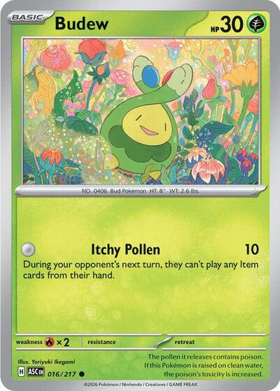 Budew [Ascended Heroes]