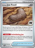 Antique Jaw Fossil [Perfect Order]