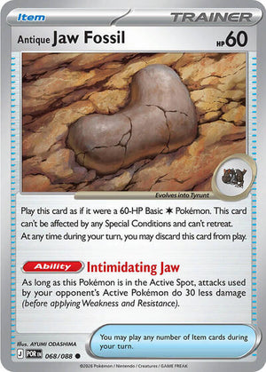 Antique Jaw Fossil [Perfect Order]