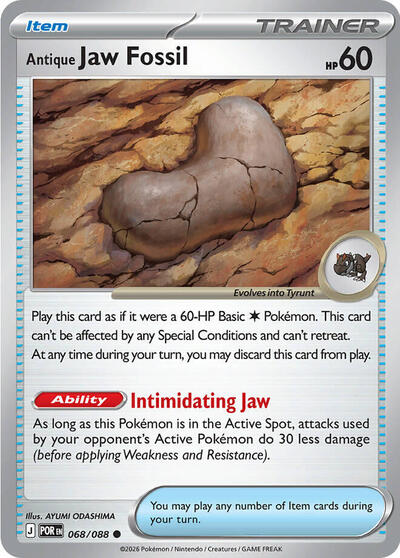 Antique Jaw Fossil [Perfect Order]